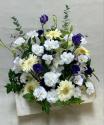 �t�H�g�M�������[�摜