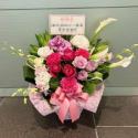 �t�H�g�M�������[�摜