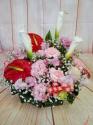�t�H�g�M�������[�摜