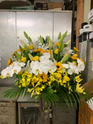 神奈川県足柄下郡 湯河原町の花屋 有 花一生花店 をご紹介 フラワーギフトはプロのお花屋さんにおまかせ フジテレビフラワーネット 神奈川県足柄下郡 湯河原町の花屋 有 花一生花店 をご紹介 フラワーギフトはプロのお花屋さんにおまかせ フジテレビフラワーネット