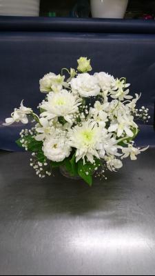 神奈川県足柄下郡 湯河原町の花屋 有 花一生花店 をご紹介 フラワーギフトはプロのお花屋さんにおまかせ フジテレビフラワーネット 神奈川県足柄下郡 湯河原町の花屋 有 花一生花店 をご紹介 フラワーギフトはプロのお花屋さんにおまかせ フジテレビフラワーネット