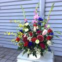 �t�H�g�M�������[�摜