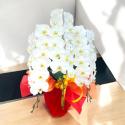 �t�H�g�M�������[�摜