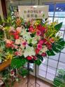�t�H�g�M�������[�摜