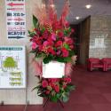 �t�H�g�M�������[�摜