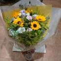 �t�H�g�M�������[�摜