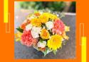 �t�H�g�M�������[�摜