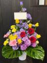 �t�H�g�M�������[�摜