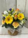 �t�H�g�M�������[�摜