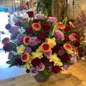 �t�H�g�M�������[�摜