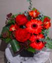 �t�H�g�M�������[�摜