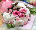 �t�H�g�M�������[�摜
