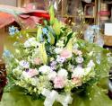 �t�H�g�M�������[�摜