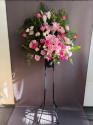�t�H�g�M�������[�摜