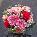 �t�H�g�M�������[�摜