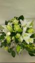�t�H�g�M�������[�摜