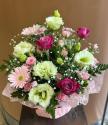 �t�H�g�M�������[�摜