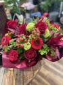 �t�H�g�M�������[�摜