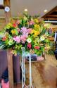 �t�H�g�M�������[�摜