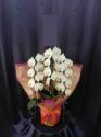 �t�H�g�M�������[�摜