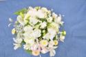 �t�H�g�M�������[�摜