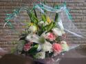 �t�H�g�M�������[�摜