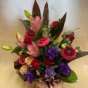 �t�H�g�M�������[�摜
