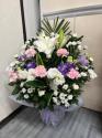 �t�H�g�M�������[�摜