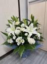 �t�H�g�M�������[�摜