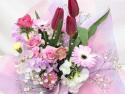 �t�H�g�M�������[�摜