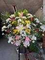 �t�H�g�M�������[�摜