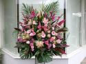 �t�H�g�M�������[�摜