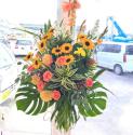 �t�H�g�M�������[�摜