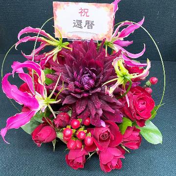 ���̑��摜