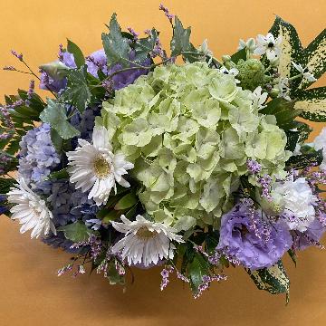 �X�^�b�t�摜