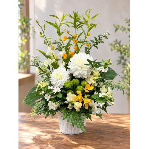 �T���_�[�\�j�A�A�_���A���g�������j���A�����W�����g