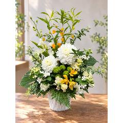 �T���_�[�\�j�A�A�_���A���g�������j���A�����W�����g