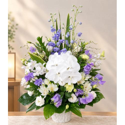���̌Ӓ����A�g���R�L�L���E�A�p�[�v���̃X�C�[�g�s�[�Ȃǂ��g�����������A�����W�����g