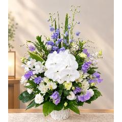 ���̌Ӓ����A�g���R�L�L���E�A�p�[�v���̃X�C�[�g�s�[�Ȃǂ��g�����������A�����W�����g