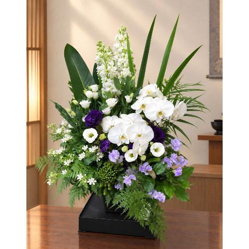 ���̌Ӓ����A�g���R�L�L���E�A���̃g���R�L�L���E�Ȃǂ��g��������t���������A�����W�����g