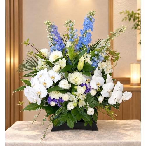 ���̌Ӓ����A�I���G���^�������A�u���[�̃f���t�B�j�E���Ȃǂ��g��������t���������A�����W�����g