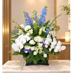 ���̌Ӓ����A�I���G���^�������A�u���[�̃f���t�B�j�E���Ȃǂ��g��������t���������A�����W�����g