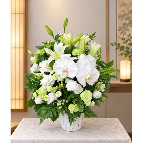 ���̌Ӓ����A�I���G���^�������A�O���[���̃J�[�l�[�V�����Ȃǂ��g�����������A�����W�����g