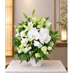 ���̌Ӓ����A�I���G���^�������A�O���[���̃J�[�l�[�V�����Ȃǂ��g�����������A�����W�����g