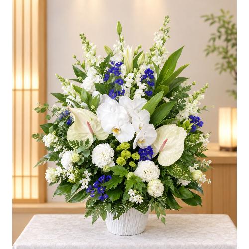 ���̌Ӓ����A�A���X�����A�u���[�̃f���t�B�j�E�����g�����������A�����W�����g