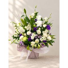 ���̃g���R�L�L���E�A�s���|���}���A���̃g���R�L�L���E���g�����������A�����W�����g