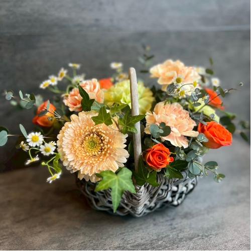 ��̓��A�����W�����g�@�I�����W�n