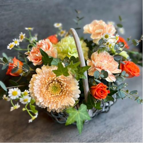 ��̓��A�����W�����g�@�I�����W�n2