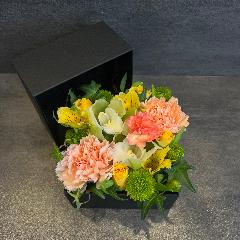 �{�b�N�X�A�����W�����g