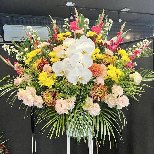 �P�i�@���܂����������X�^���h